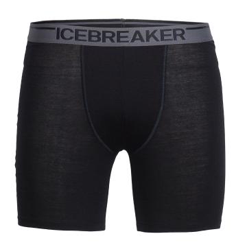 Shop Online Mens Icebreaker Merino Breifs, Boxers