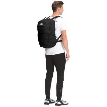 Naj-Oleari Backpack in Beige – Alter Ego NZ
