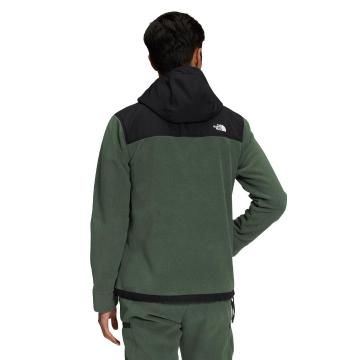 Men's Alpine Polartec® 200 Full-Zip Hooded Jacket